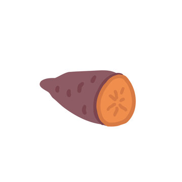 Sweet potato half with vibrant orange flesh. Batat root vegetable. Clipart for grocery products, cooking, recipe, farm market designs. Isolated flat vector illustration