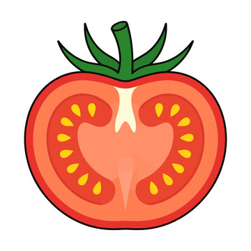 Fresh red tomato slice cut in half showing seeds and green stem vector illustration Vector