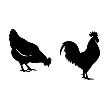 Black silhouette of a standing rooster and a chicken pecking on the ground for farm design Vector