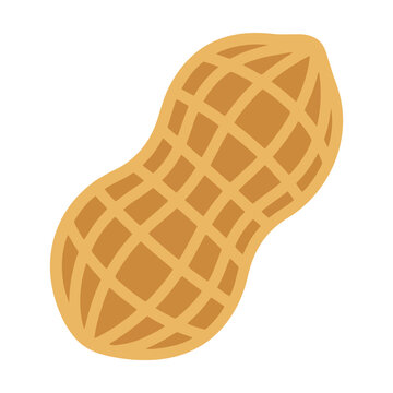A single brown peanut in its shell shown as a simple flat vector illustration icon Vector