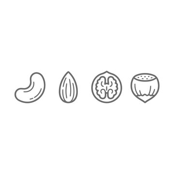 Set of four different nuts and seeds line icons including cashew almond walnut and hazelnut Vector
