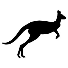 Jumping Kangaroo Silhouette, Australian Wild Animal Vector Icon © Art Ris