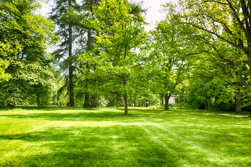 Obraz premium A scenic landscape view of historic Herttoniemi Manor Park in Helsinki, Finland, featuring sun-drenched paths, majestic old deciduous trees, and lush green lawns under a bright summer sky. HDR.