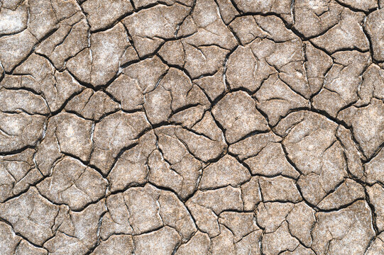 Top-down texture view of dry cracked earth with white salt deposits textures near salt lake