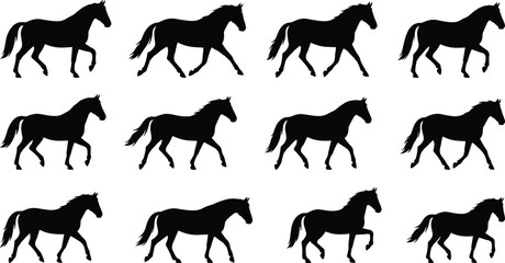 Obraz premium Horse Silhouette Motion Study Showing Walking and Trotting Sequence Frames