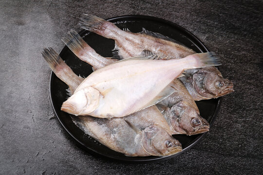 Fresh Sea Fish Catch from Dalian - Quality Marine Seafood Sold at Market with Special Attention to Freshness