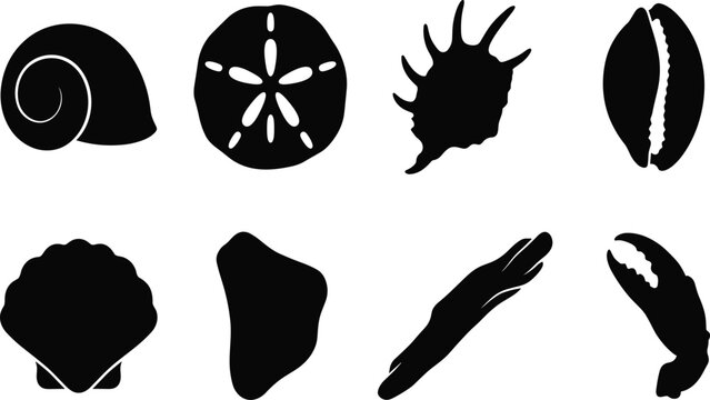Collection of marine seashell silhouettes including sand dollar, scallop, and conch isolated on white background