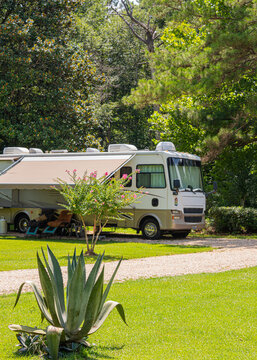 A motorhome is parked amidst lush greenery in a campsite. There's an awning providing shade, with a succulent plant in the foreground.
