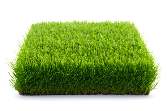 A section of lush green turf, representing a clear and clean lawn or garden feature, is displayed on a transparent backdrop