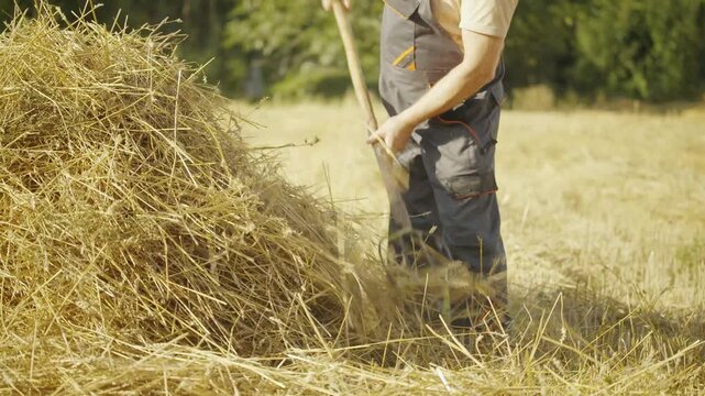 Individual in gray overalls uses a pitchfork to lift straw from a large pile in a sunlit field, showcasing the process of moving straw for agricultural purposes in a rural setting