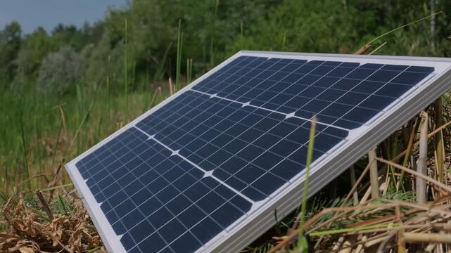 A compact solar panel rests outdoors among wild grass and reeds, capturing sunlight to generate electricity. This green energy investment offers long-term utility cost savings.