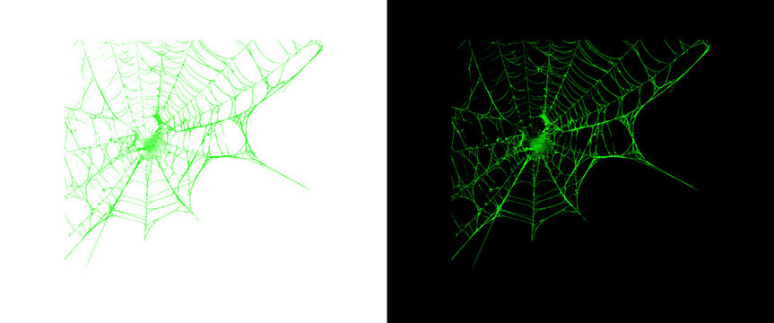 Glow green spiderweb illustration set, spooky neon cobweb graphic elements, Halloween design assets on black and white backgrounds