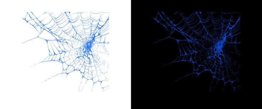 Glow-in-the-dark blue spiderweb illustration, spooky Halloween corner cobweb design, neon blue spider web graphic on black and white backgrounds