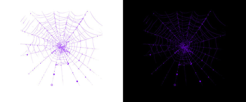 Purple spider web with water droplets on white and black backgrounds, glowing neon cobweb design, spooky halloween decorative element
