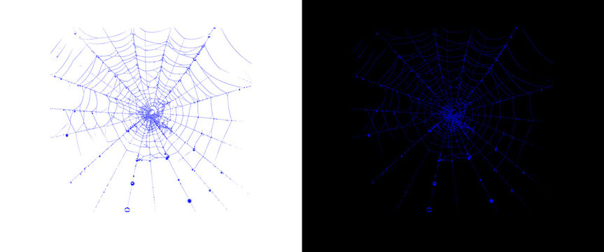 Blue spider web illustration set, glowing neon cobweb design on black and white backgrounds, intricate arachnid silk patterns for Halloween decor