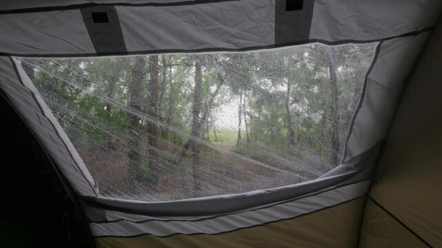 Raindrops cling to the clear window of a camping tent shelter pitched in a dense pine forest. The cozy dry interior provides refuge and security during rainy outdoor weather.
