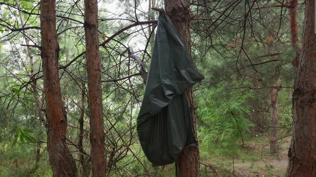 A green plastic bag is suspended from a tree branch amidst the dense pine trees of a forest, symbolizing environmental waste and the need for responsible disposal. The scene also suggests.
