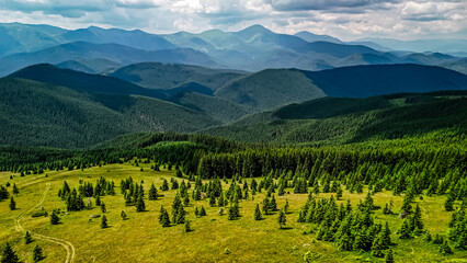 Sunlit pasture edges a dense forest while waves of highlands recede into haze. Bright clearings and soft contours create a serene outdoor mood perfect for eco adventure themes. © Chornogirskyi