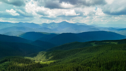Fototapeta premium Deep valleys fold into each other forming a graceful pattern of shadowed curves. Far peaks hover in pale light while the evergreen canopy below suggests timeless mountain quiet.