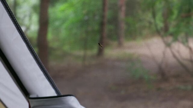 A tiny insect sits on the fine mesh of a tent mosquito net. The background shows a soft-focus view of a lush green forest with tall trees. A zipper frames the edge of the tent entrance.