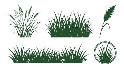 Grass Illustrations with Various Styles and Arrangements Featuring Illustration, Green, Nature with Plants and Vegetation © MstRozina