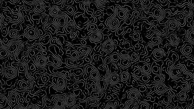 Abstract monochrome background with flowing organic topographic line patterns