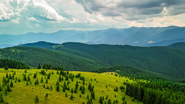 Golden grasslands meet swaths of pine on a high plateau. Distant ridges fade into cool haze as dramatic clouds gather and soft light spills over the gentle contours of the mountains
