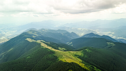 Fototapeta premium Broad ridges of conifer forest tilt toward a glimmering lowland. Patches of sunshine move across the slopes while the far ranges melt into haze beneath a roof of weighty clouds