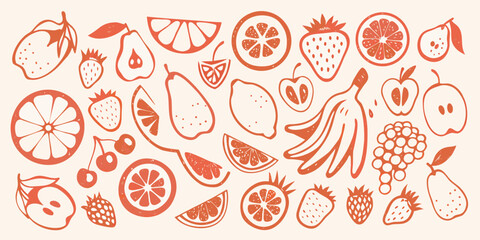 Orange fruit and berry collection a hand drawn vector illustration with a light background © Shabita