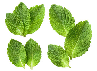 Set of fresh mint leaves, isolated on transparent cutout background © Yeti Studio