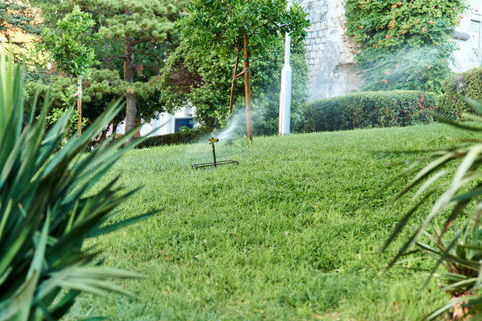 Sprinklers for automatic lawn watering. Lawn care. Devices for watering the garden.