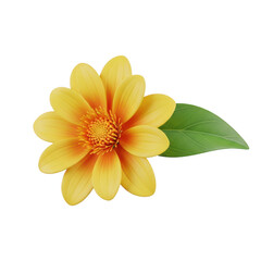 Fototapeta premium Bright yellow flower with green leaf isolated