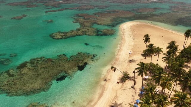 Aerial view of Punta Popy Beach showing clear shallow water, underwater coral patterns, white sand, swimmers, boats and tropical palms in sunny weather.