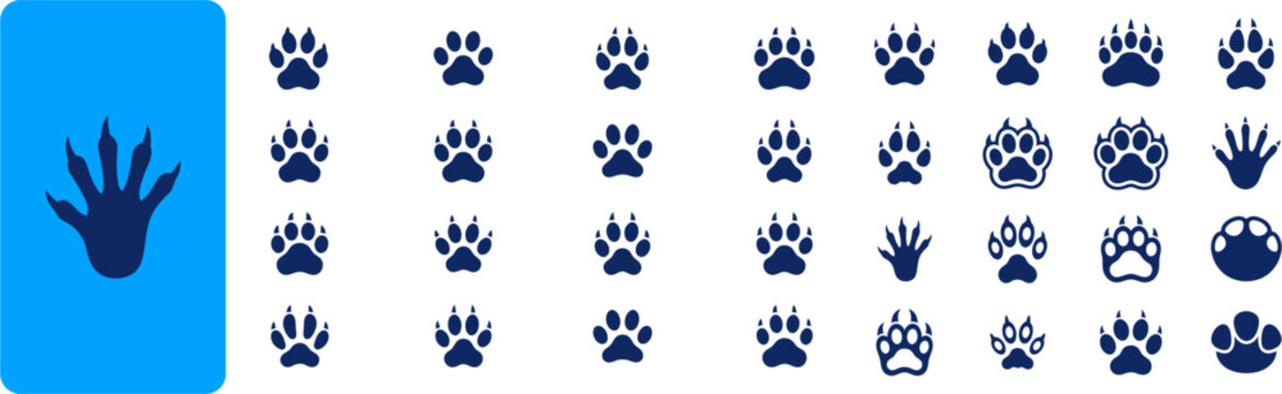 Animal paw print icons set containing wolf bear dog cat badger raccoon footprint tracks vector