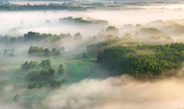 High view of fog over trees