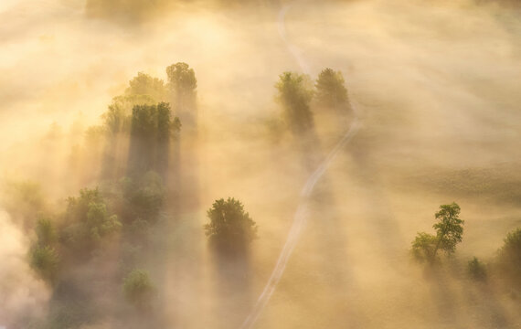 High view of fog over trees