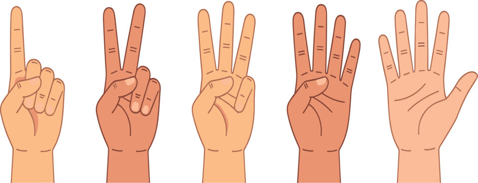 Counting hands illustration showing numbers from one to five with diverse skin tones for educational concepts