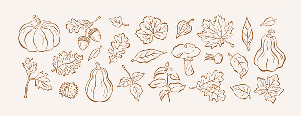 Fototapeta premium Botanical set of autumn illustrations in sketch style
