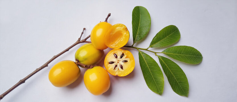 Yellow hog plum fruit on a leafy branch. Spondias mombin fruit with cross section showcasing internal seed structure. Tropical exotic plant harvest for healthy food ingredient.