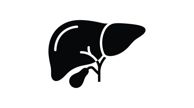 A clean flat vector icon of a human liver with a gallbladder shown in bold black on white background