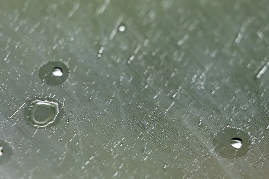 Rounded droplets hover over a softly textured plane. Delicate lines and a green tint add depth. The scene balances sharp highlights and blur to create a tranquil abstract of water and light.