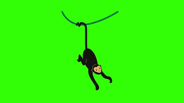 Black Monkey Hanging from Tree Vine on Green Background