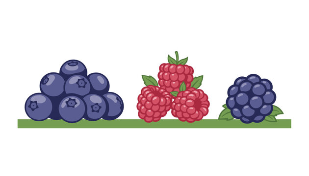 Fresh summer berries including blueberries, raspberries, and blackberries lined up on a green base.