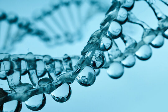 Dna double helix structure forming with water drops