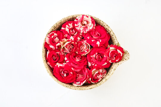 Variegated red white roses filling ceramic bowl on white