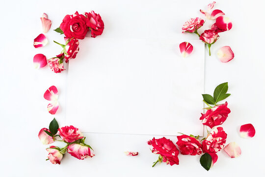 White blank paper sheet with red roses frame