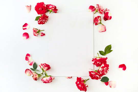 Red roses and petals framing a blank white paper
