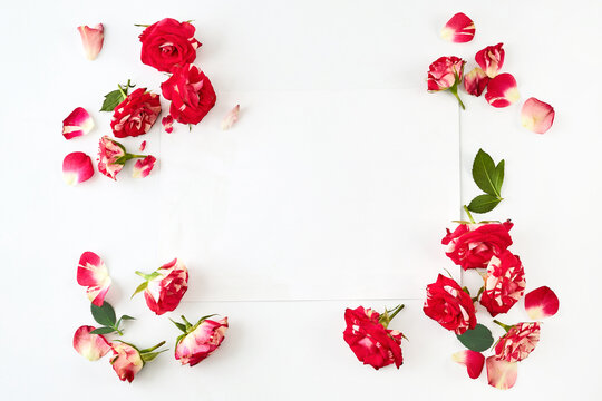 White card with red rose flowers and petals