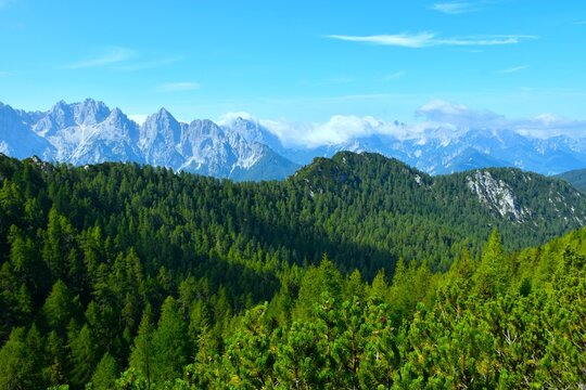 Mountain range covered in coniferous larch forest above a valley in Karavanke mountains with a view of Julian alps from Trupijevo Poldne in Gorenjska, Slovenia