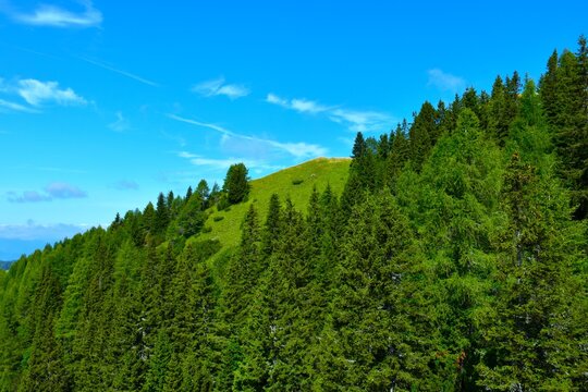 View of the peak of Trupijevo Poldne with a conifer spruce forest bellow in Karavanke mountains in Gorenjska, Slovenia